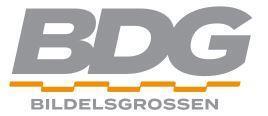 logo bildelsgrossen